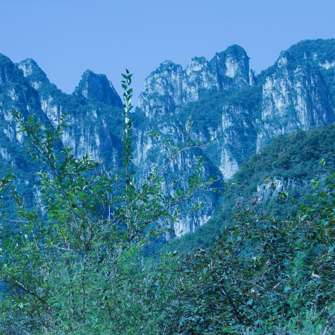 百无禁忌