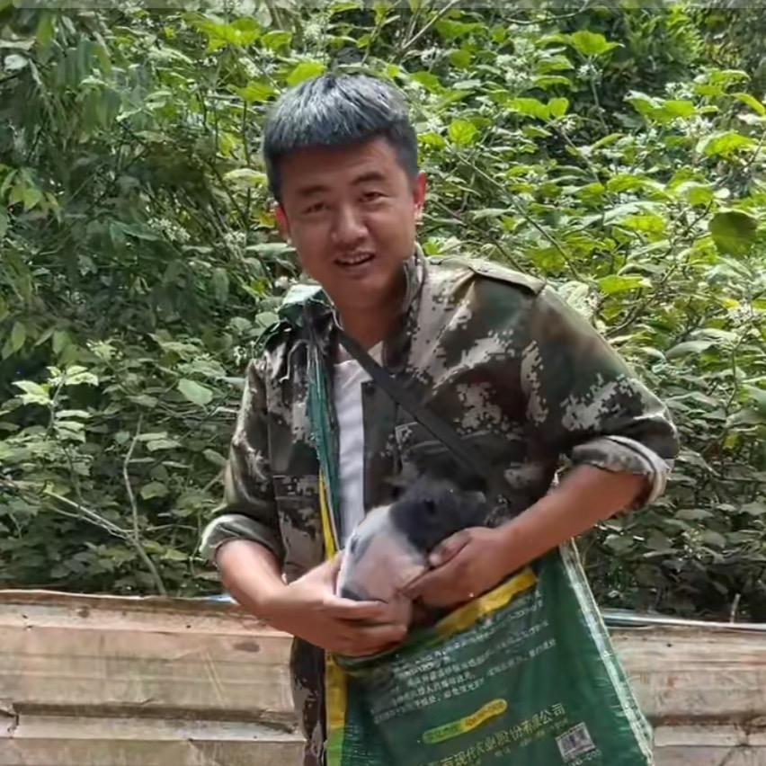 相当来逮优选