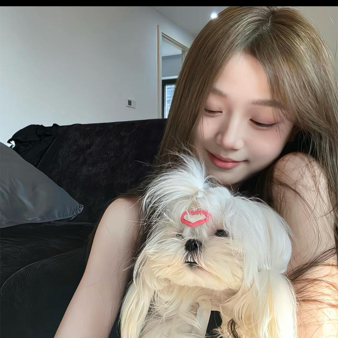 W1qiqi