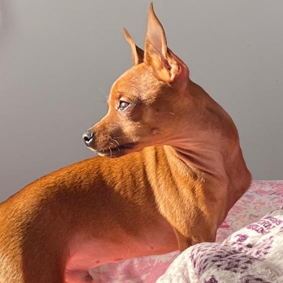 人冯喜事爽(正能量)