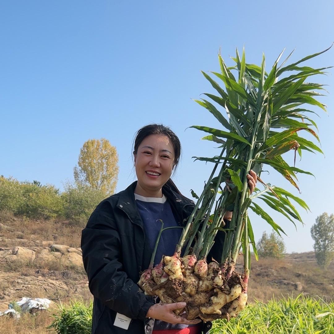 三妹返乡