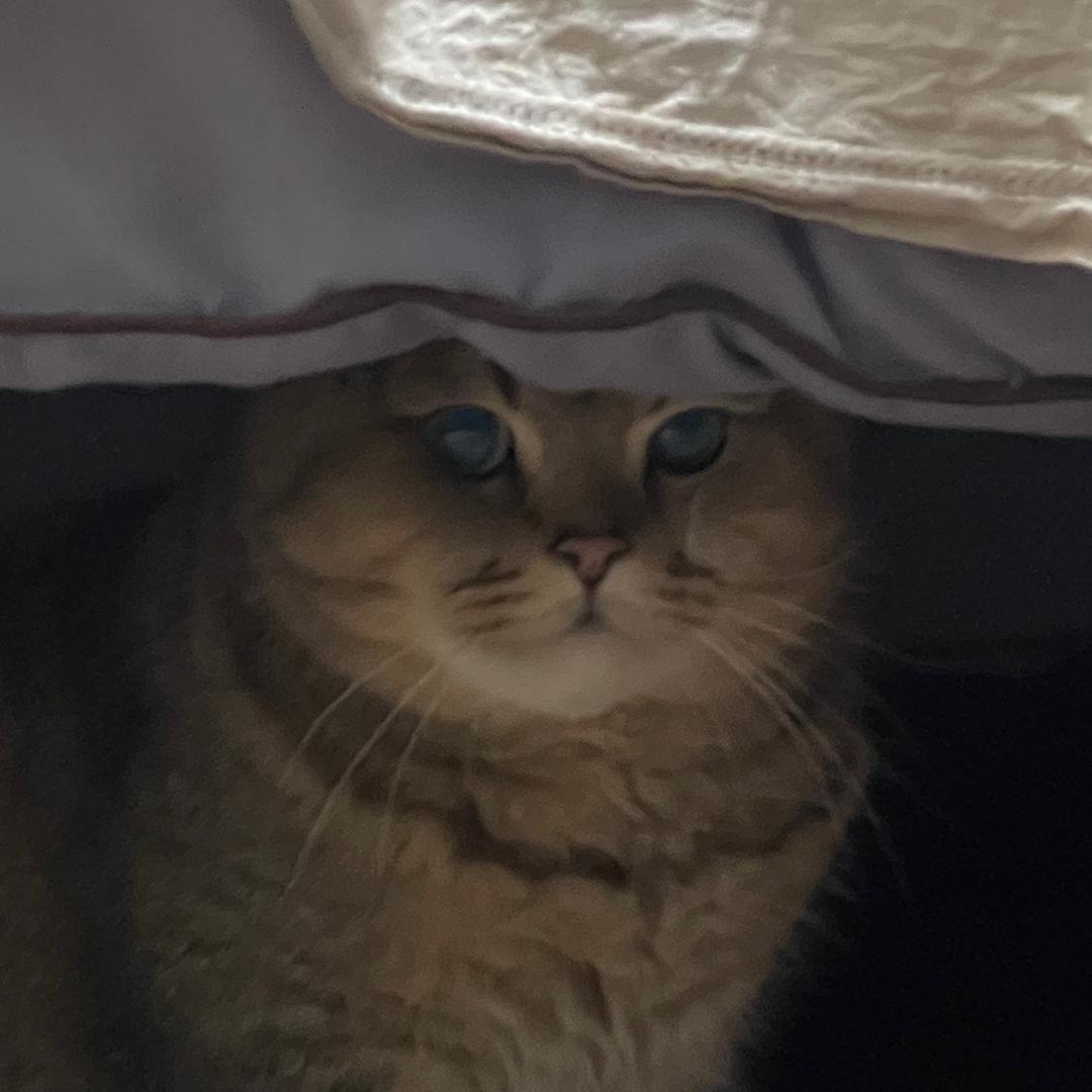 方