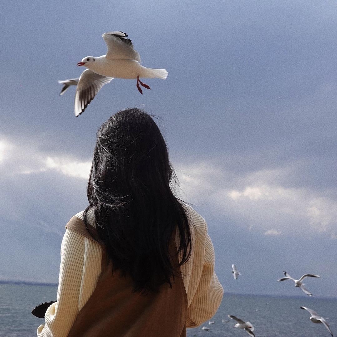 可塑计画胡老师