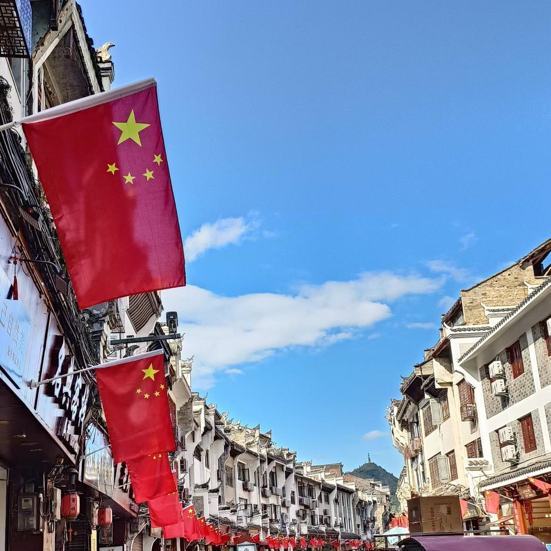鲨鱼