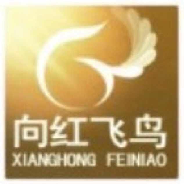 大师·向红（禅）
