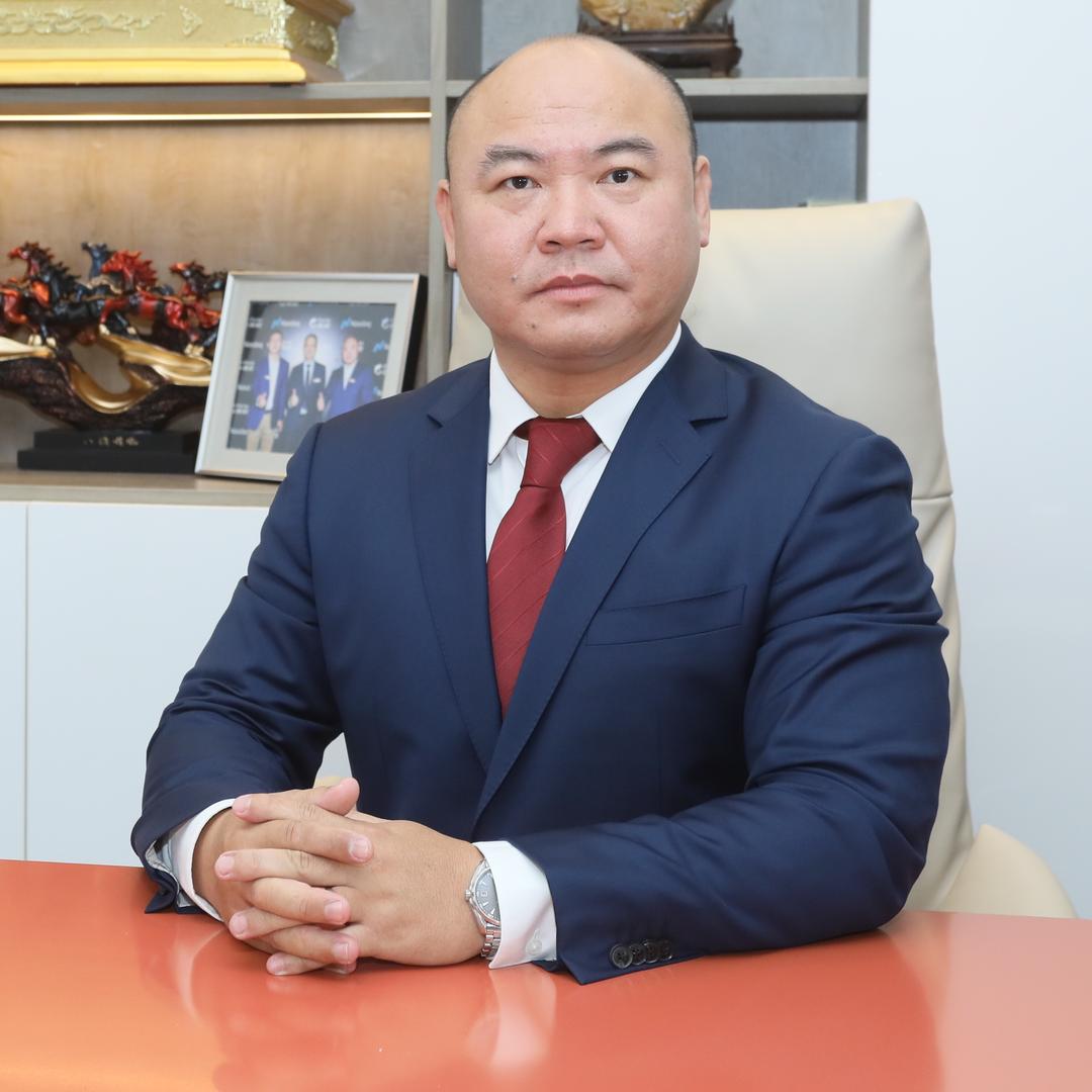 海南老椰树