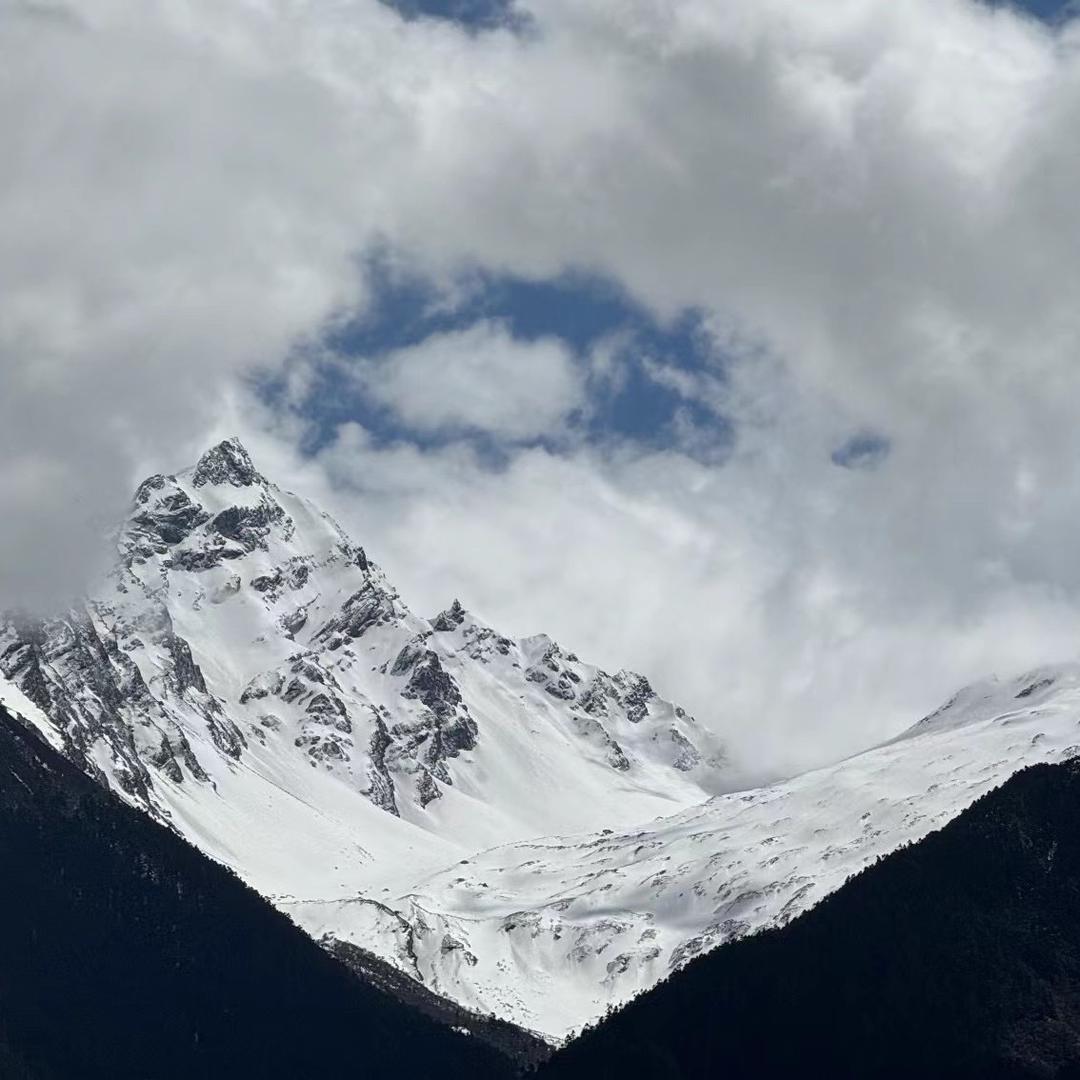 追逐真实自己的小可乐