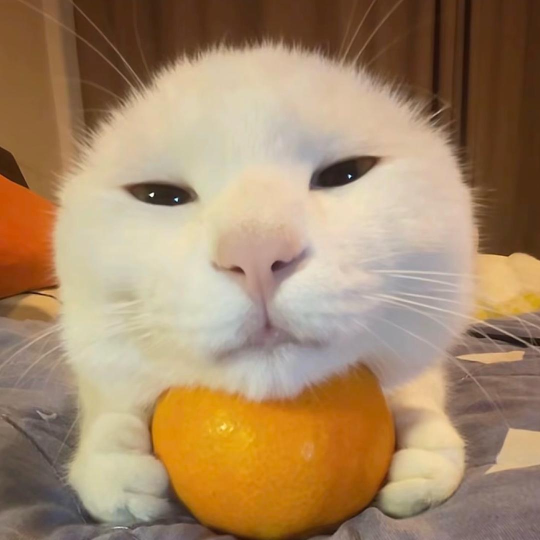 喵