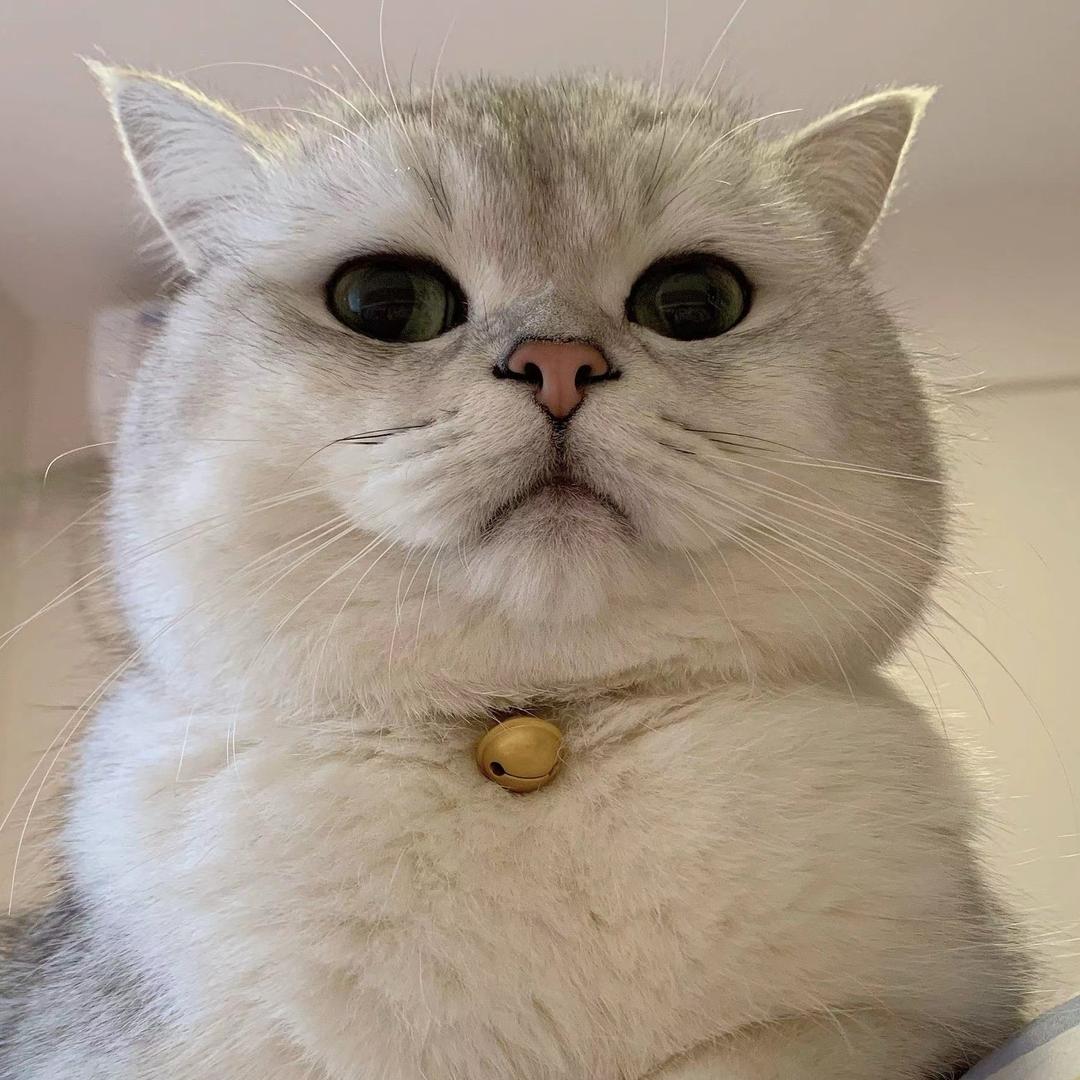 毕加锁