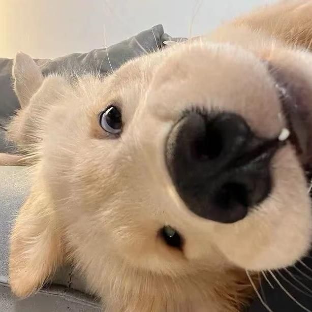 盖