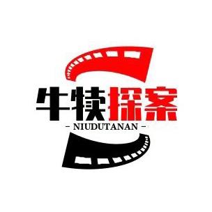 牛犊探案