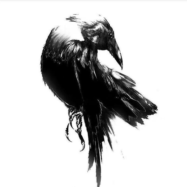 岳仔Raven