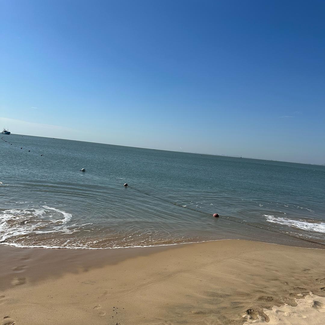 木皮木饰面/定制