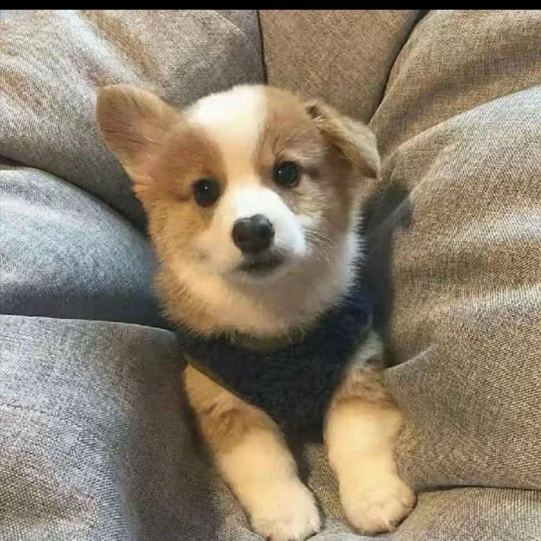 宇 .