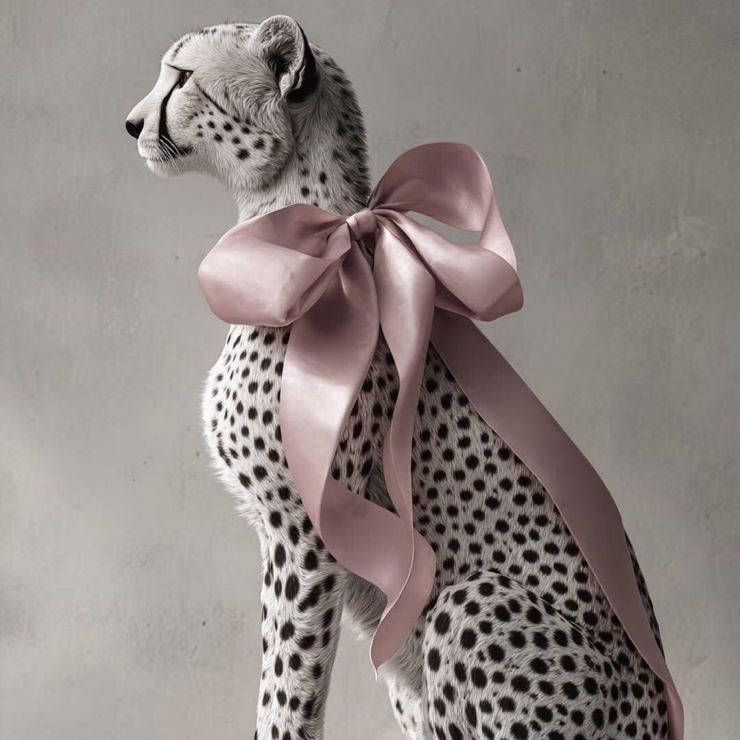 美直播穿搭分享