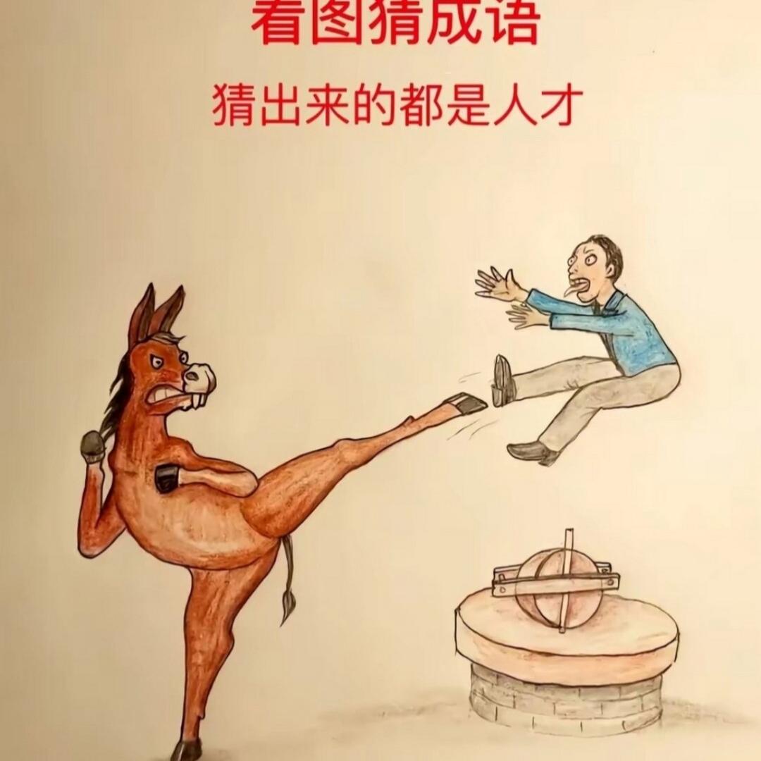 1864945477工作室