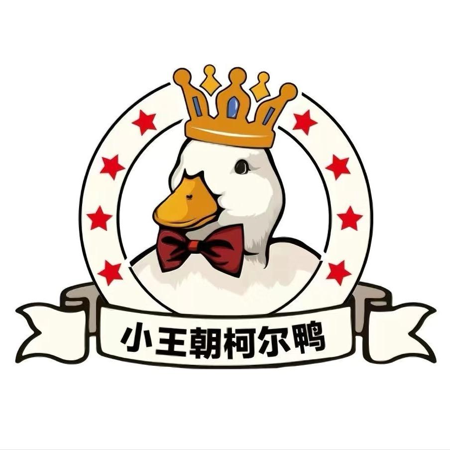 小王朝柯尔鸭