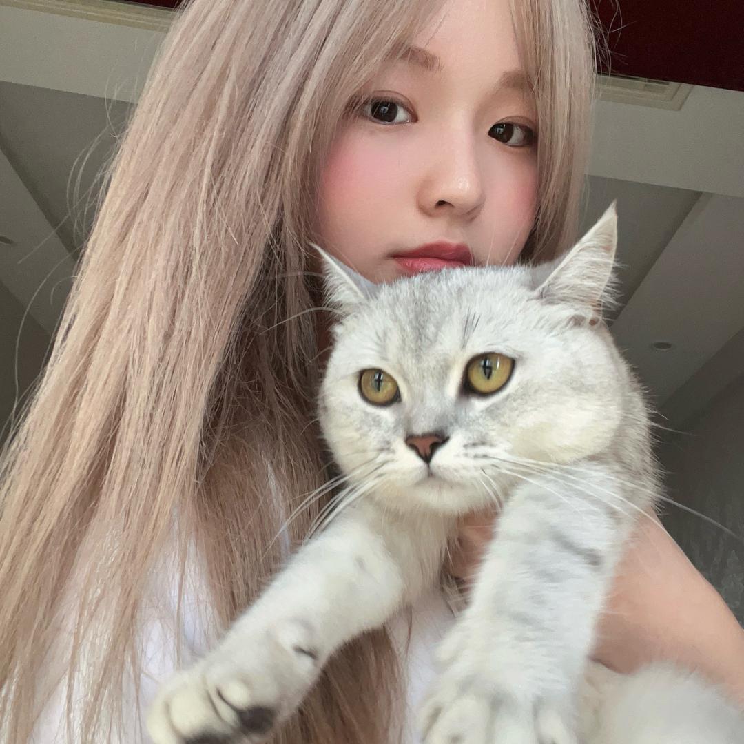 我牙疼