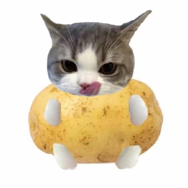 AA土鸡蛋批发大王