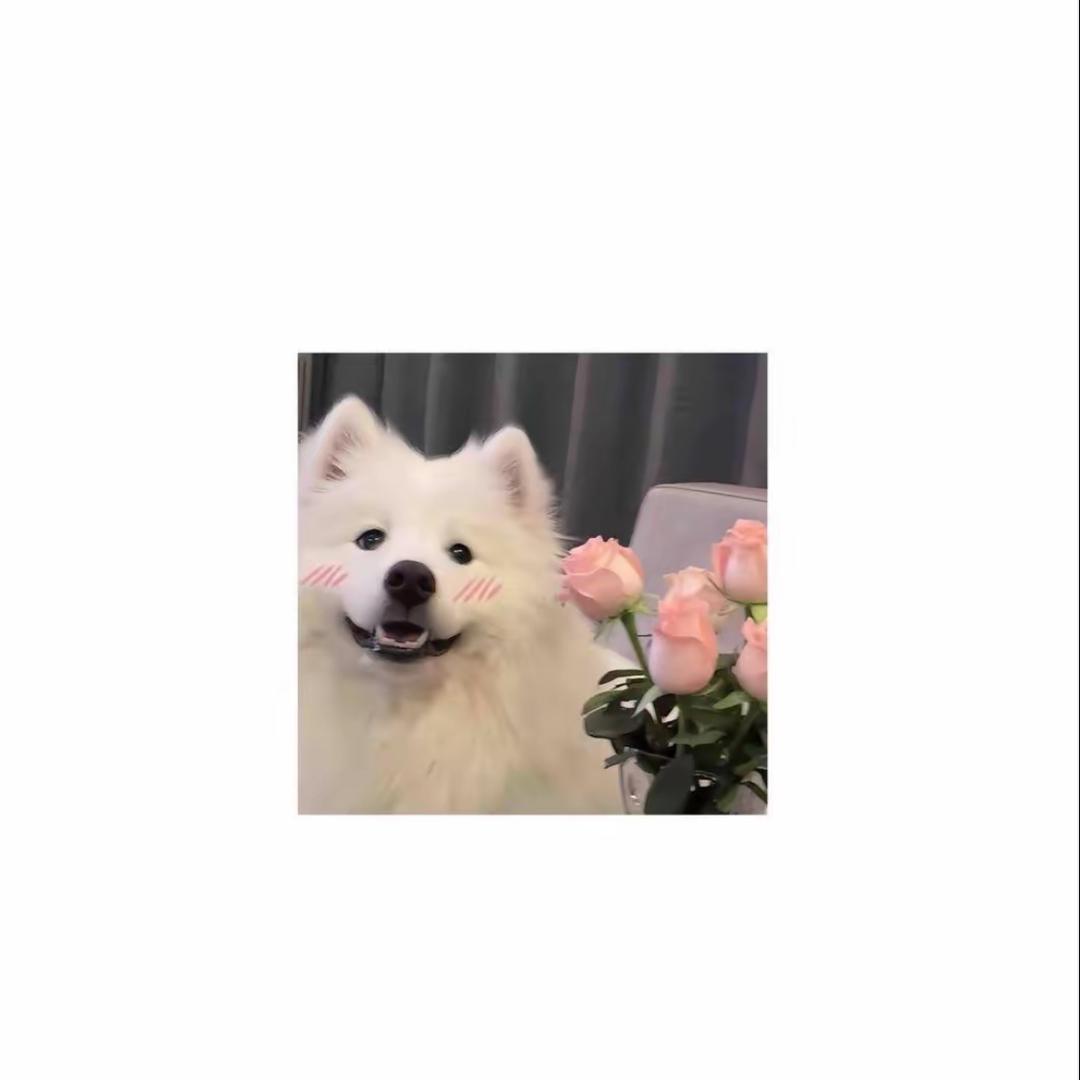 火火推荐