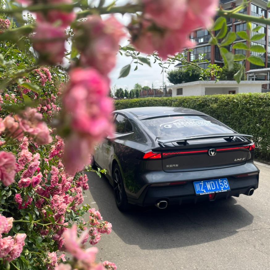 眉山新车港