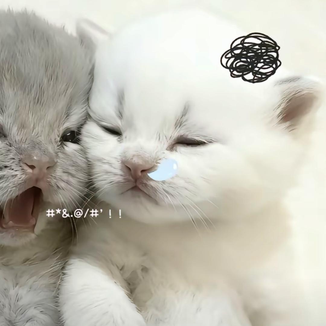 唉