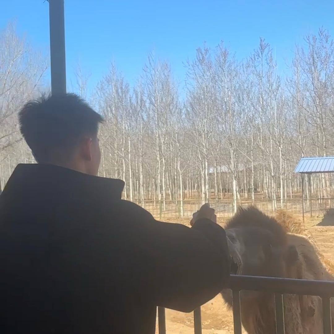 小贝🐴
