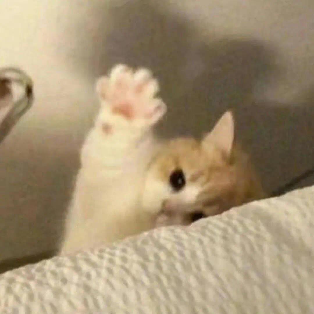 杨酉一