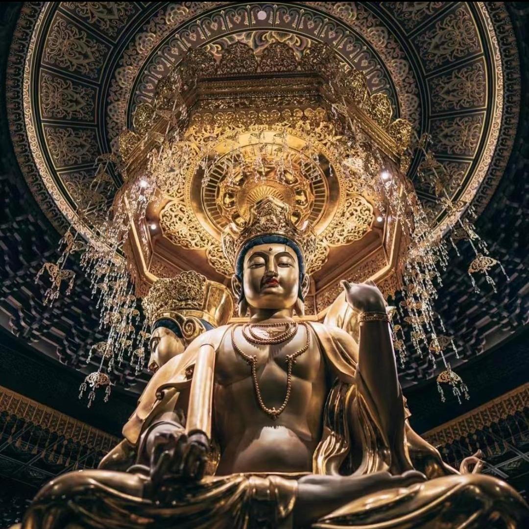 🐲⇒刘少⇐🐲  新派陈皮鸭🦆