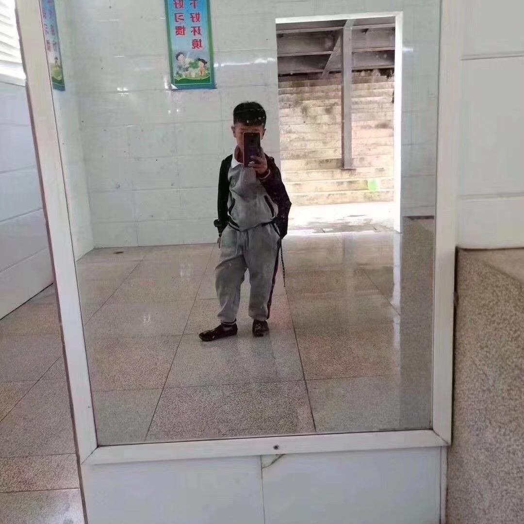 表鸽