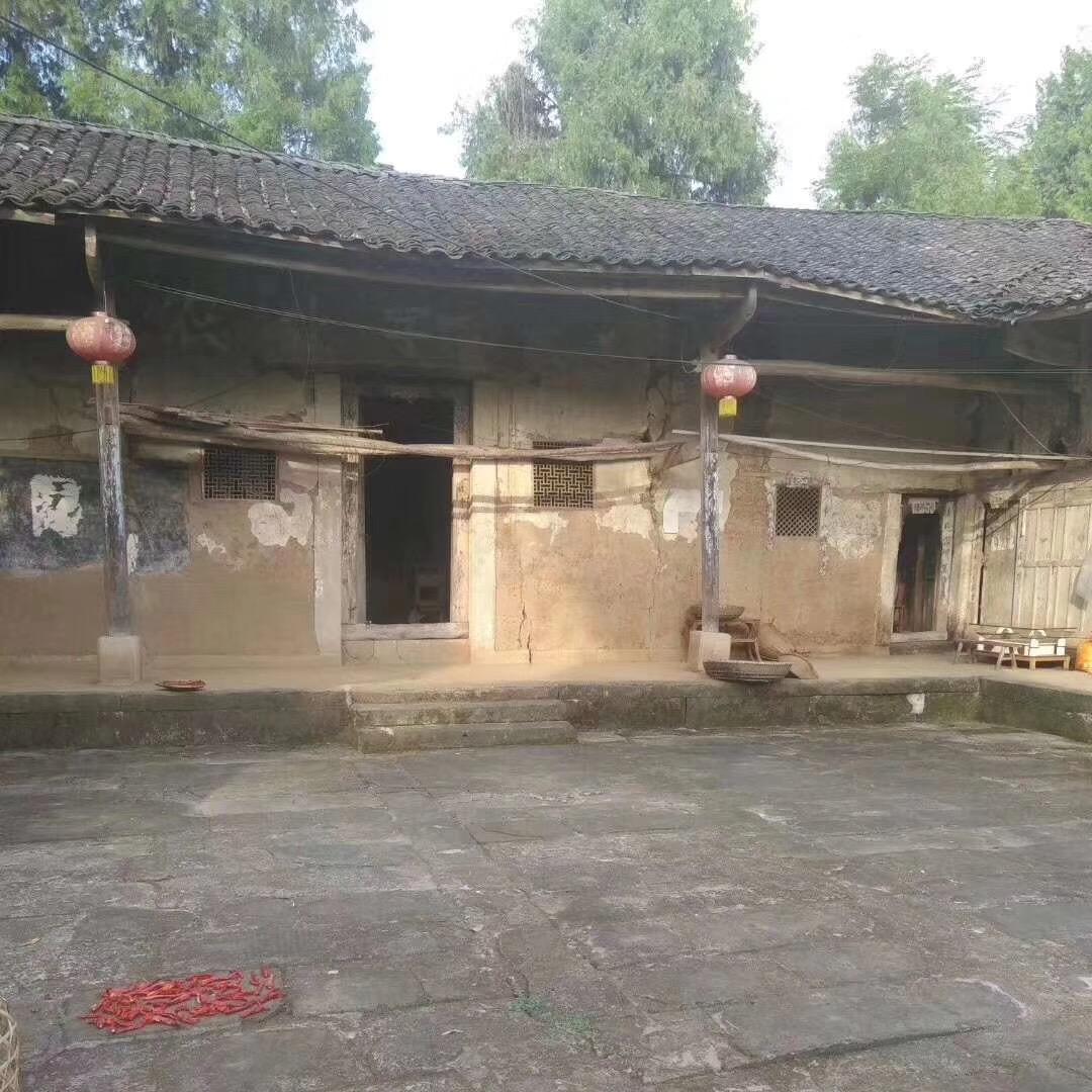 🦋情深久远
