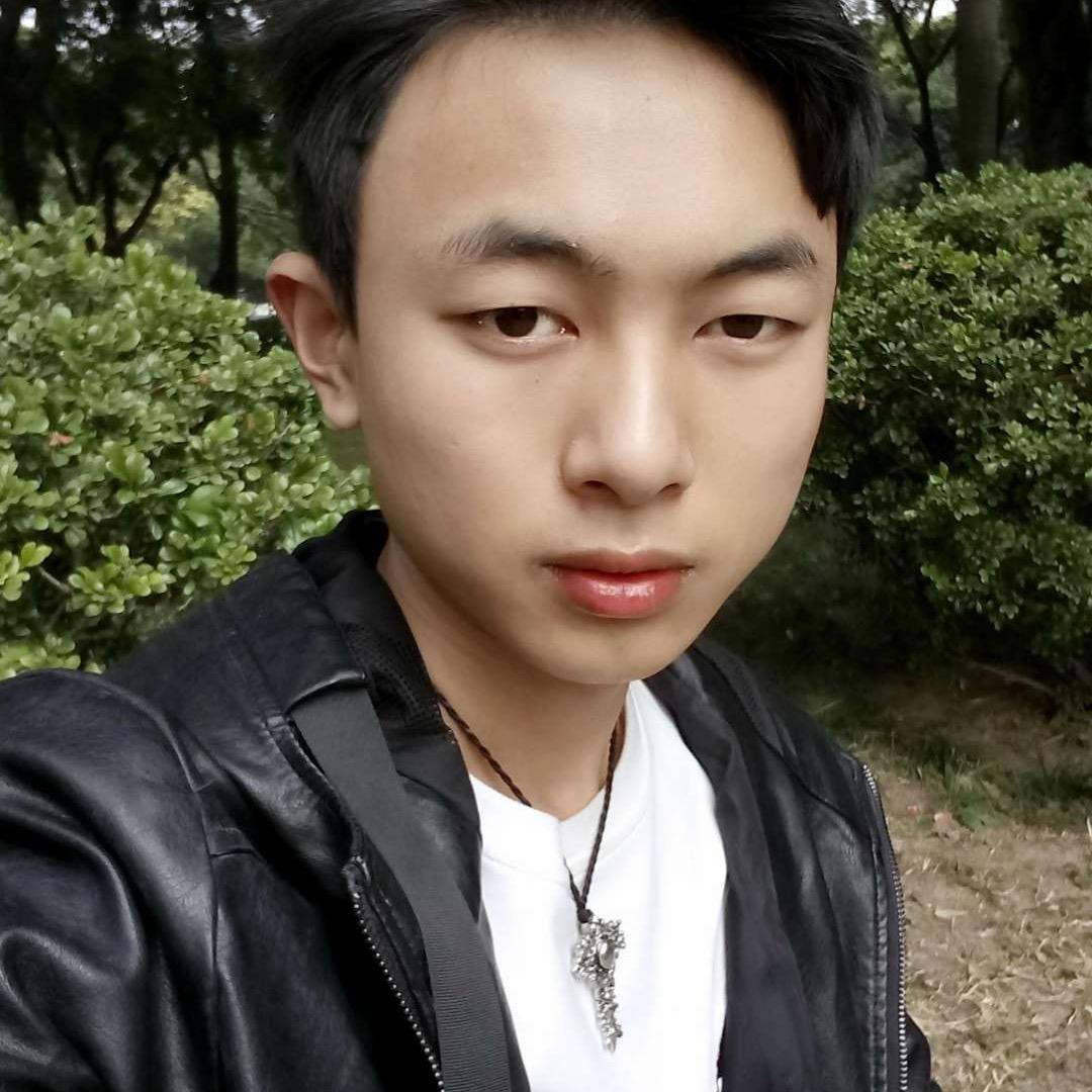 凤庆勐佑滇红山茶