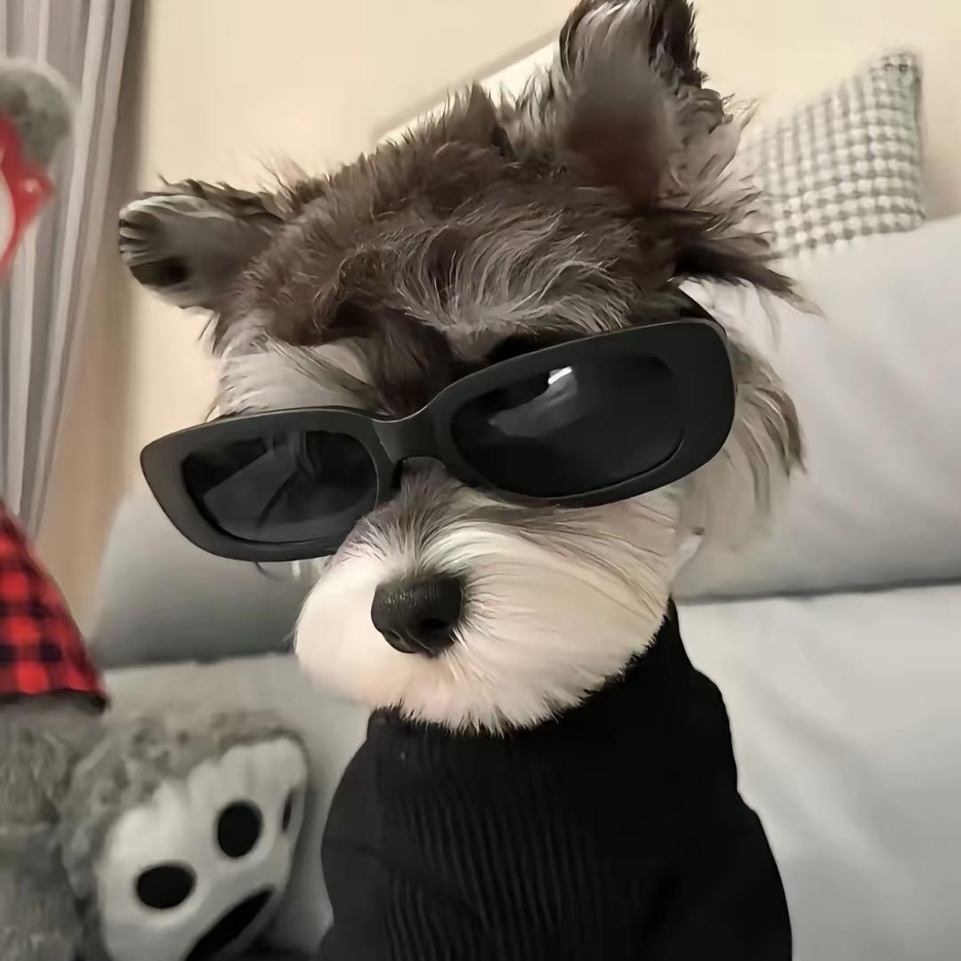 ECHo（巅峰极速）