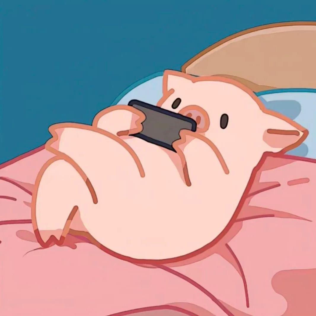 一坨肥猪肉玩游戏