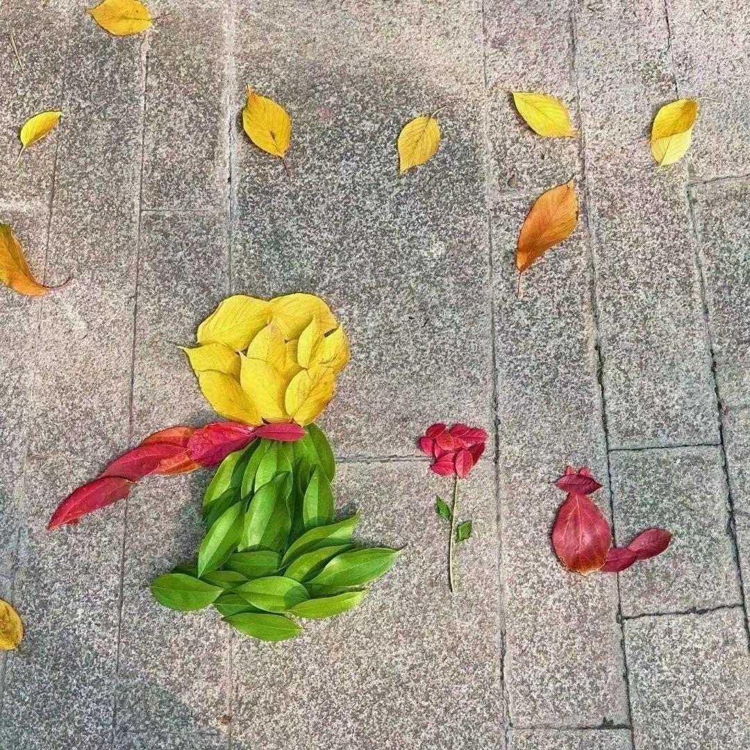 他喵的小白