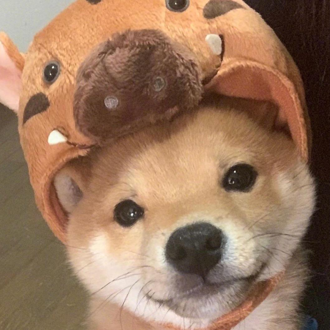 韩语老师