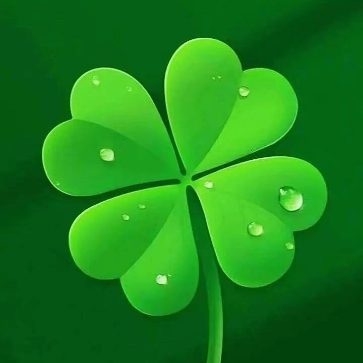 🍀🇨🇳🍀