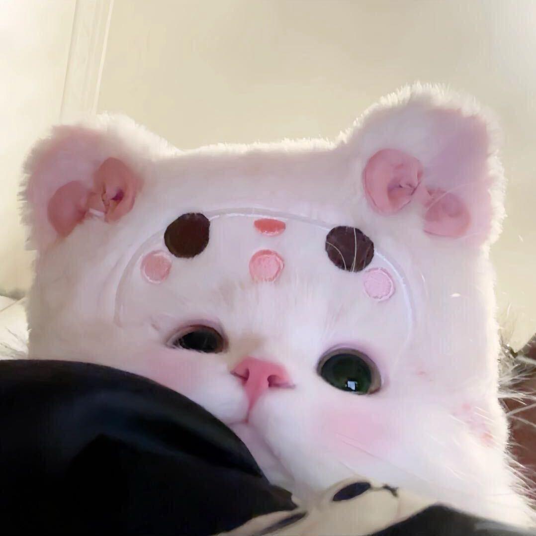 百变小鱼♡