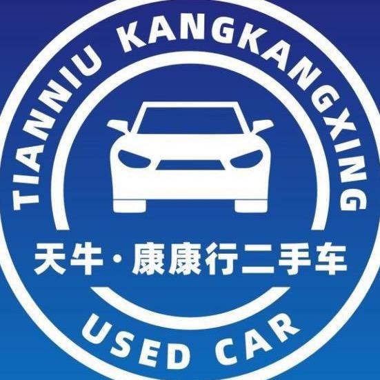 天牛康康行二手车