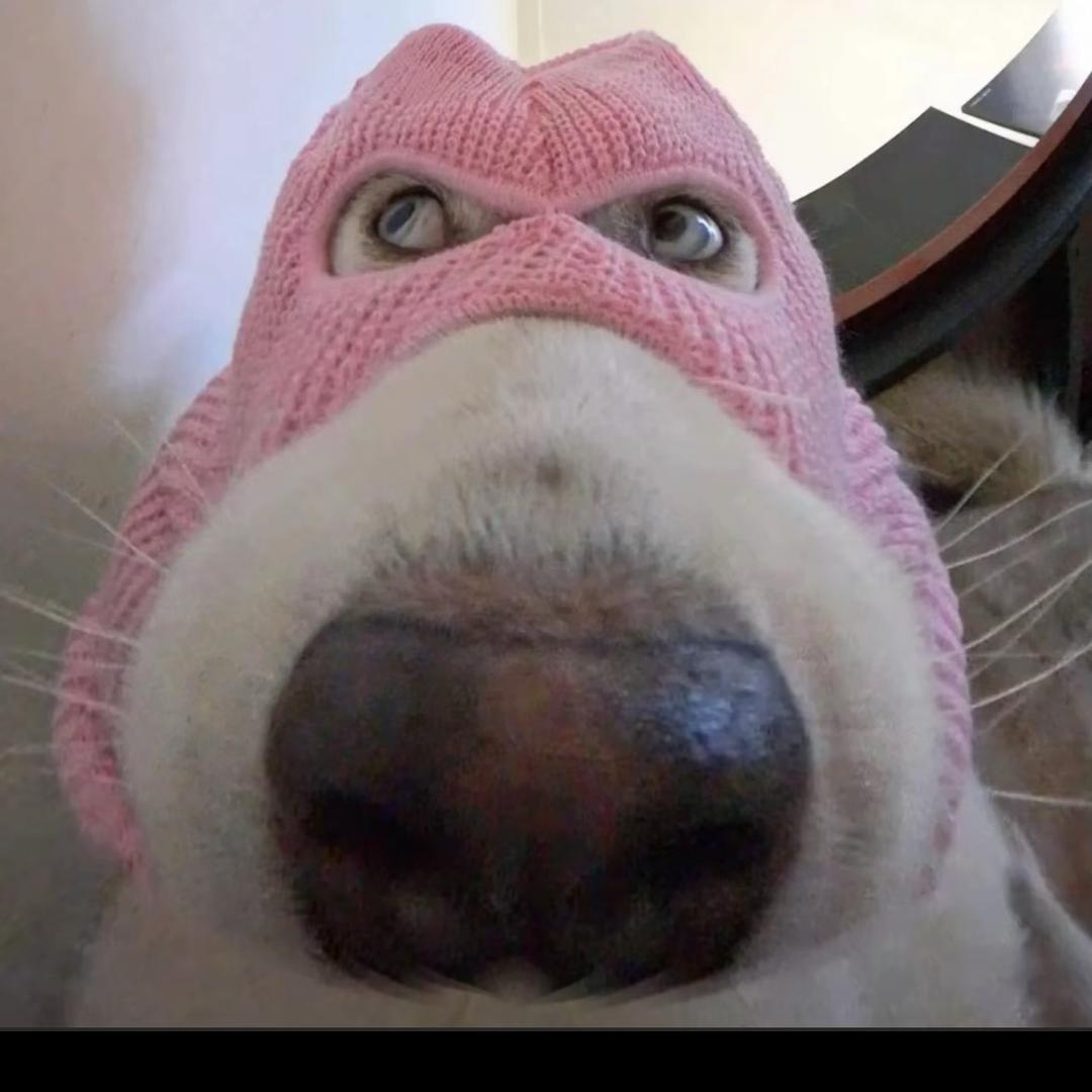 今天有没有想我