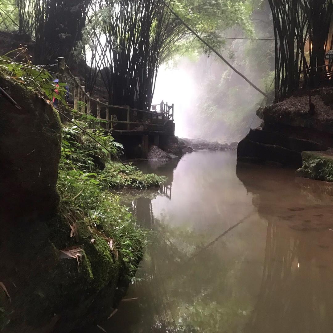 浅若夏沬