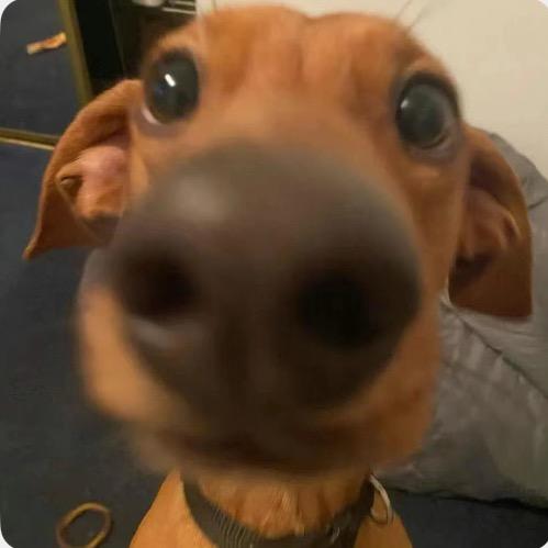 吴快樂