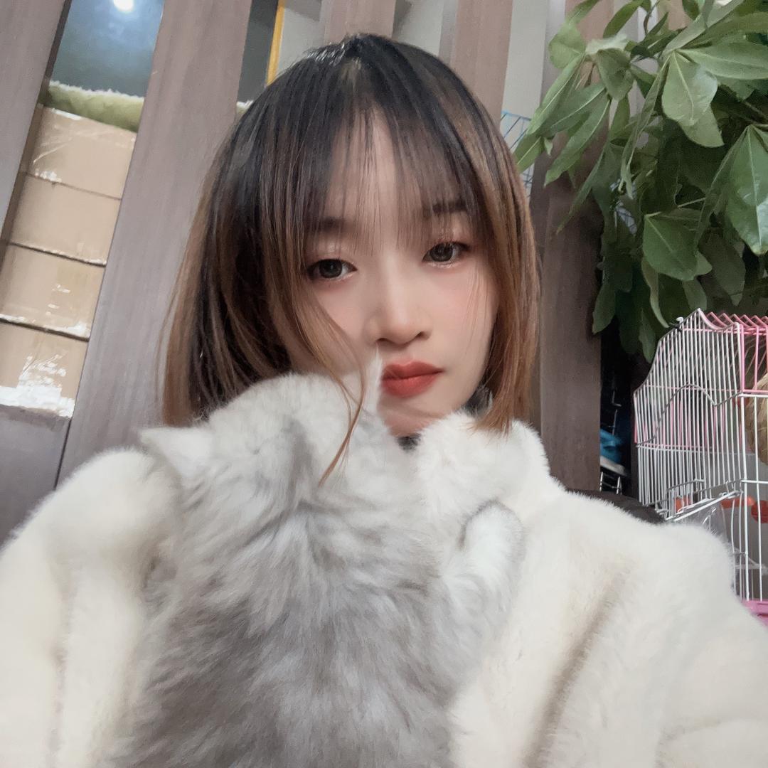 巨宠ta宠物店