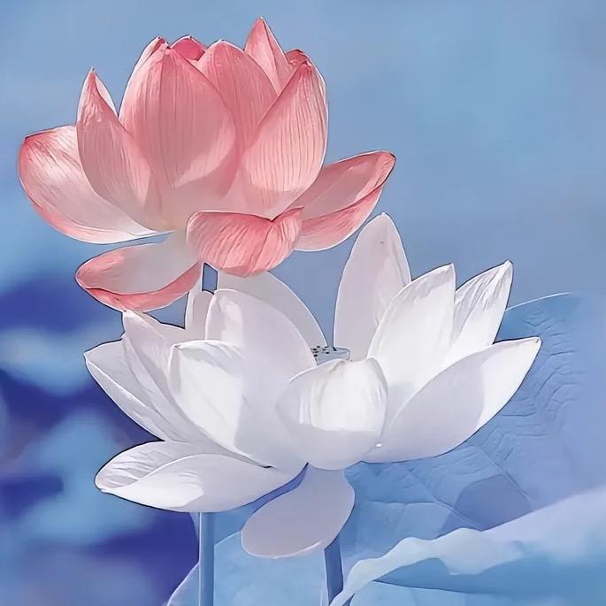 财神到我家 我要发大财O🥬💰