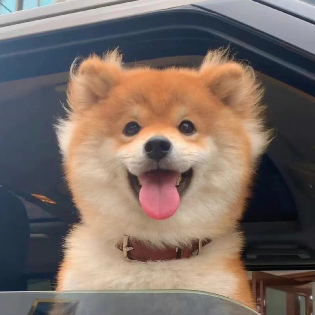 小石同学卖电脑