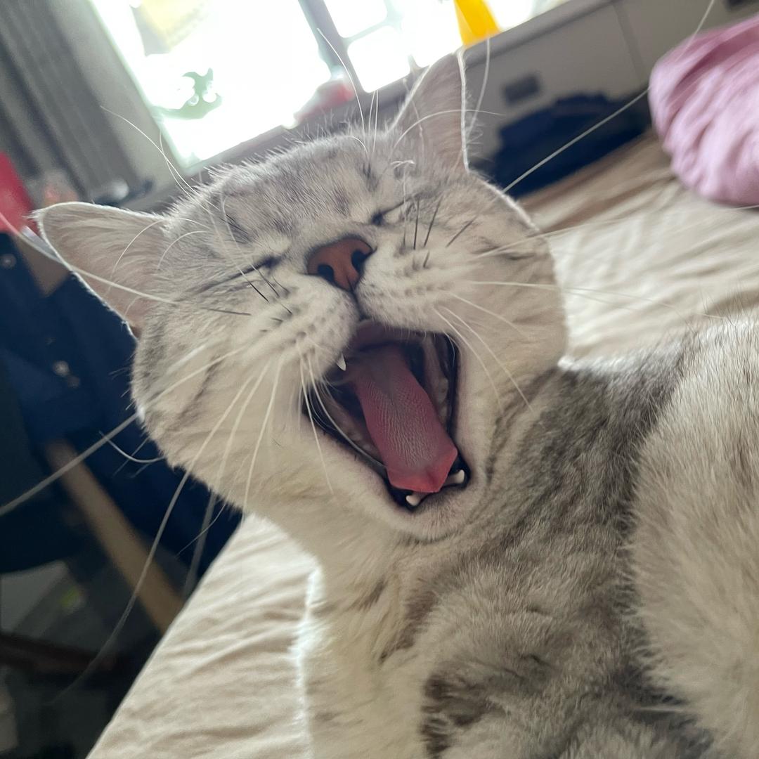 美味的锅巴