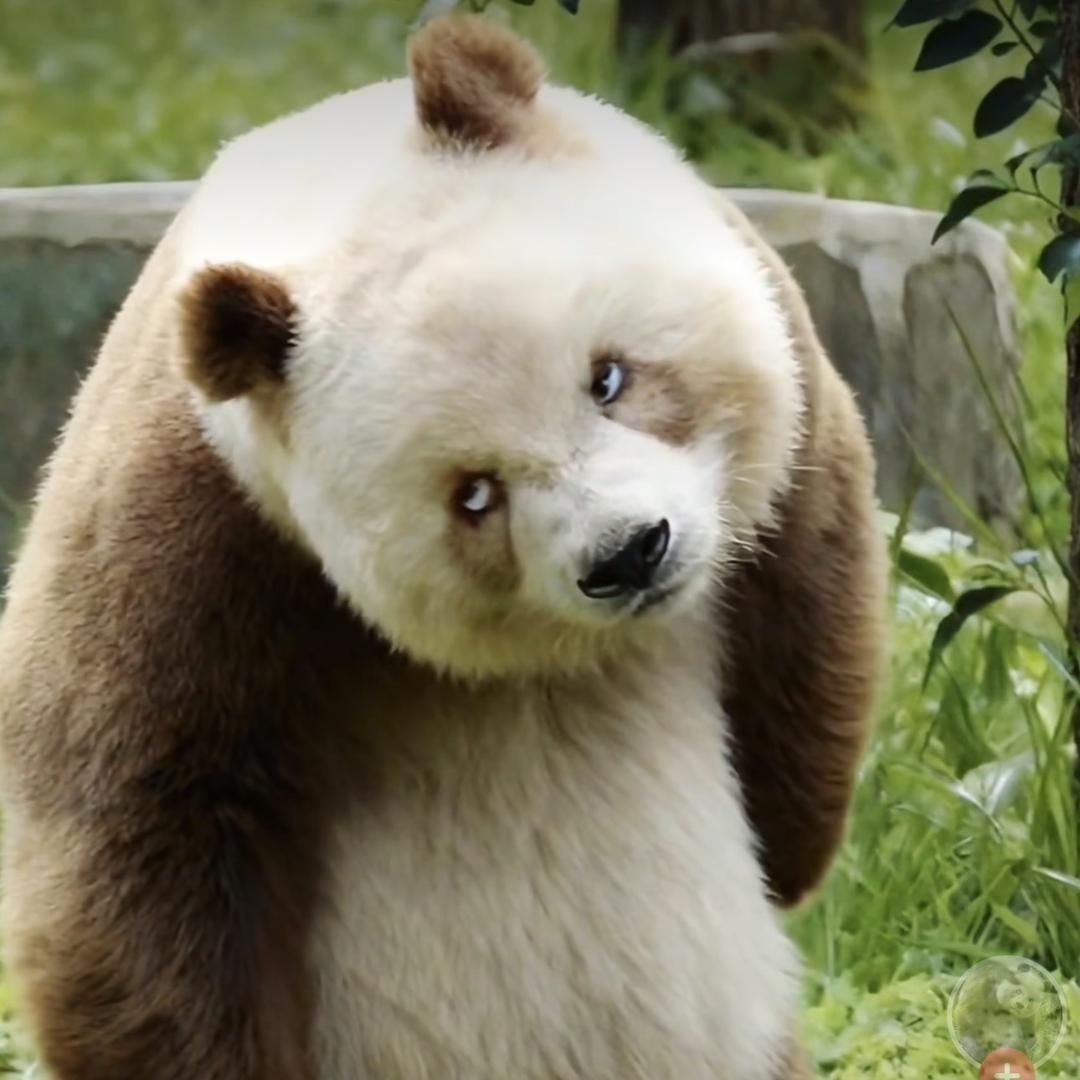 💕㥲夝❤️‍🔥