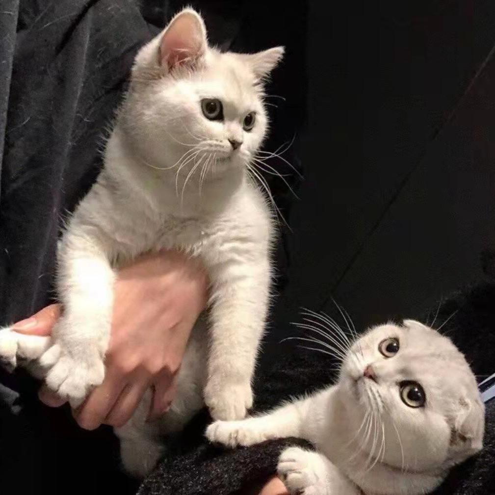 没什么不可能