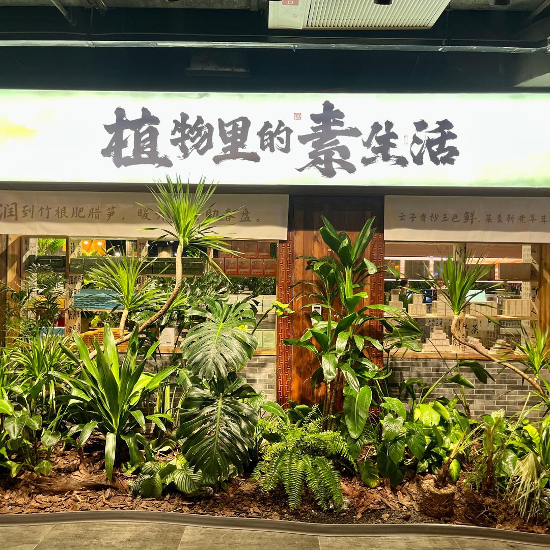 植物里的素生活（武汉店）