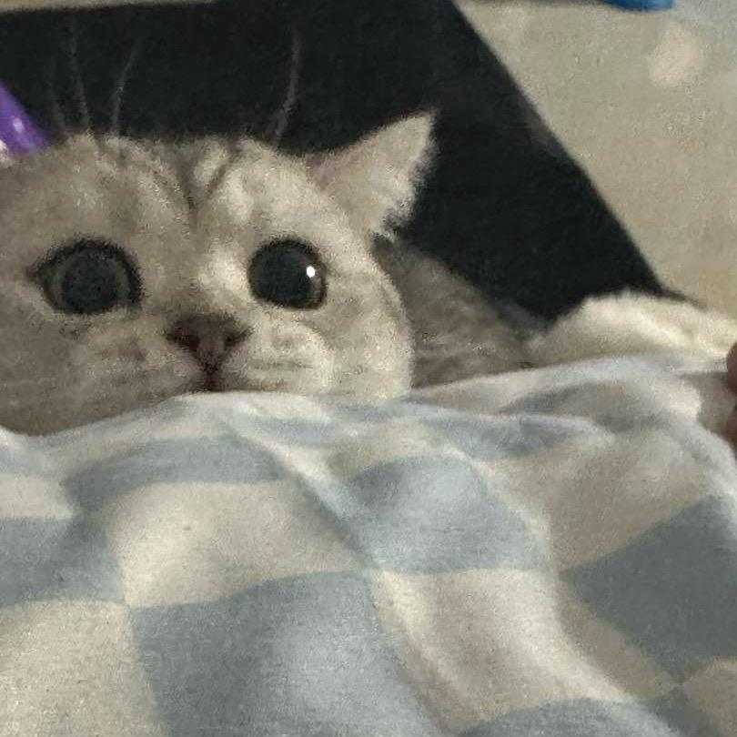 溯